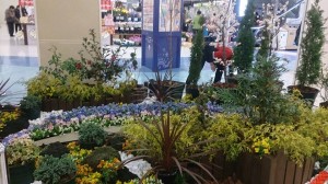 10334404_771078636303538_4240342061976480275_n