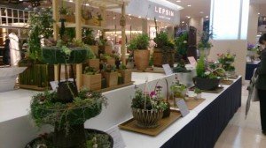 10378951_771078679636867_1429839563642193623_n