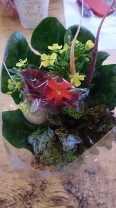 10676_769736326437769_8809317721361566644_n