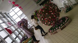 10858521_763146123763456_2688441478130812219_n