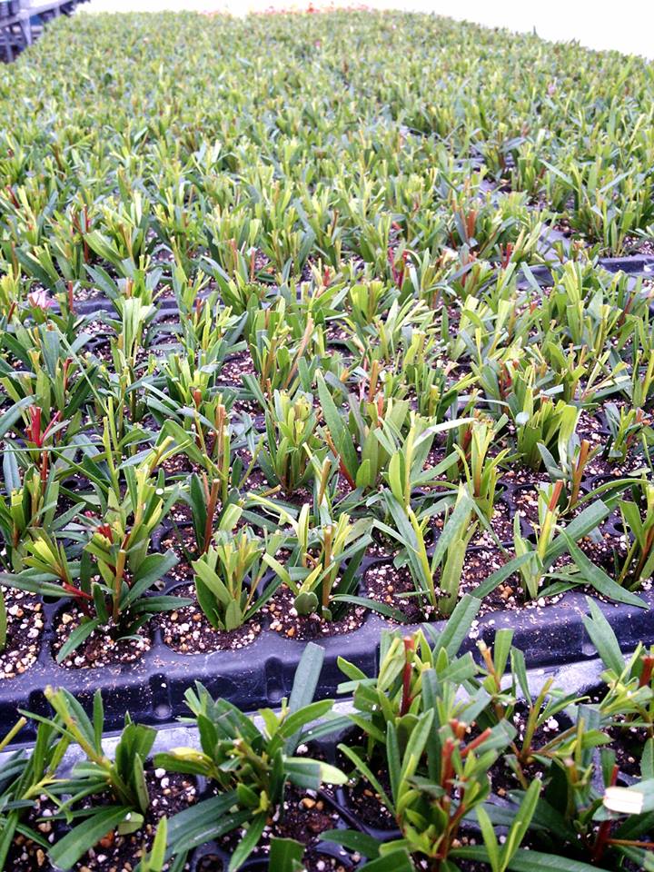 2月ですよ～！！