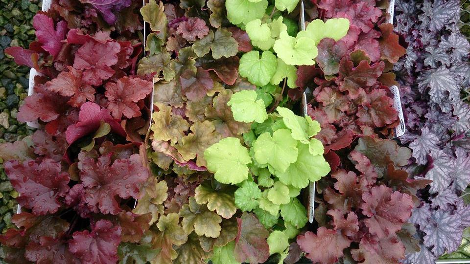 美味しそう(笑)