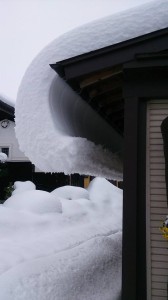 10962244_761315923946476_2047609061_n