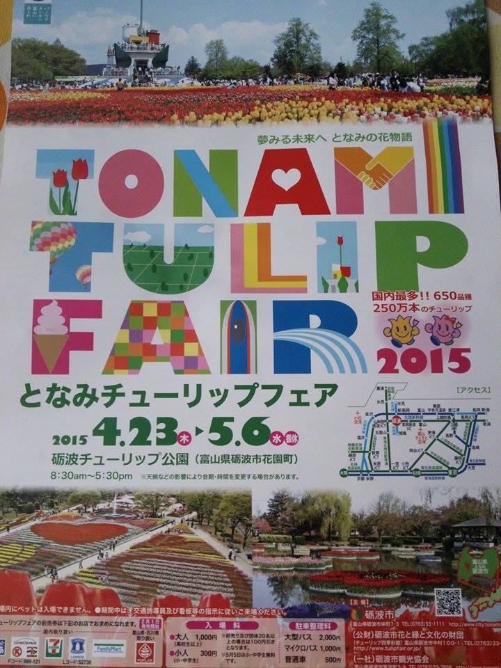 今年のチューリップフェア♪
