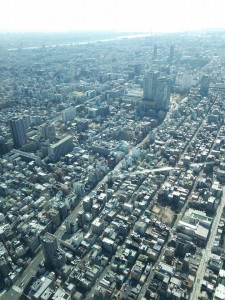 10968178_761155877295814_356913676_n