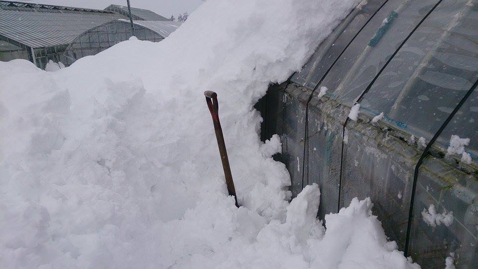 今シーズン最大の寒波