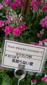 10990825_763146003763468_6108443288182130435_n