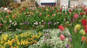 10994443_771078579636877_2666512083056615036_n