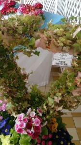 10996109_763145917096810_816210175371853396_n