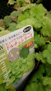 11004807_763050467106355_1952929407_n