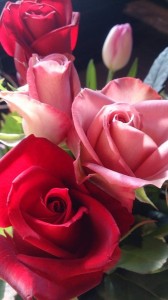 11005902_767937463284322_619876270_n