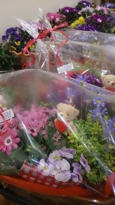 11014710_771411946270207_1746605555_n