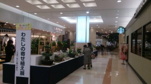 11034212_771078656303536_8168266586571501069_n