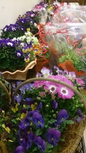 11040083_771411932936875_149968028_n