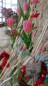 13679_763145883763480_3894428247152281113_n - コピー