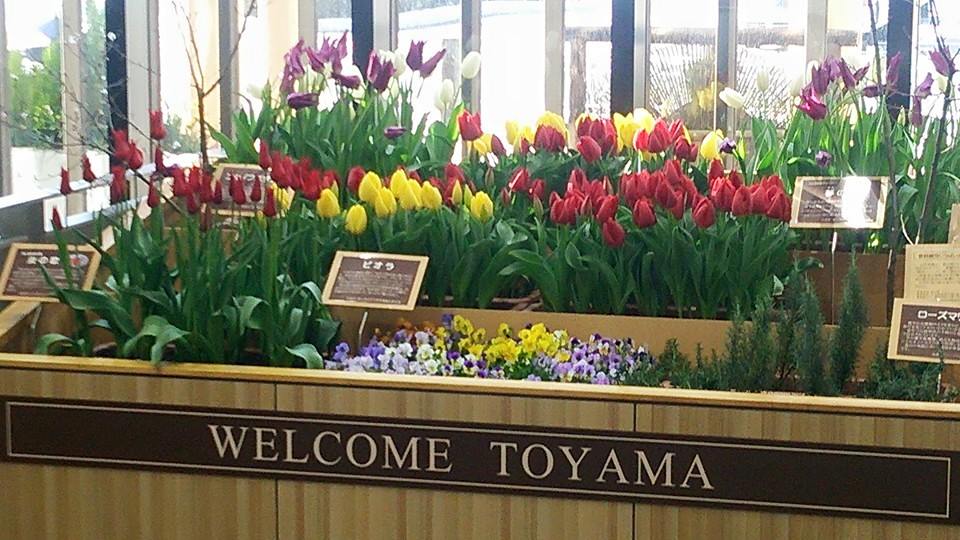 北陸新幹線フィーバー☆