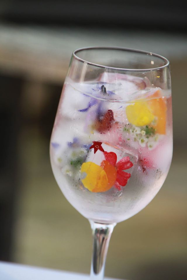 チューリップテレビさんの取材の一日