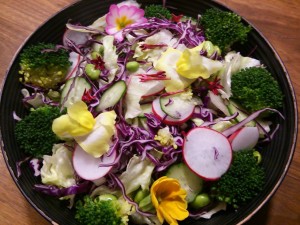 11063967_1561955997402238_1142992544_o