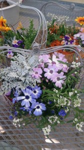 11082968_787523711325697_97868651_n