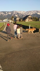 11103965_787523694659032_1413395330_n