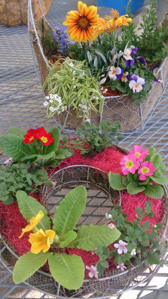 今年度最後の教室