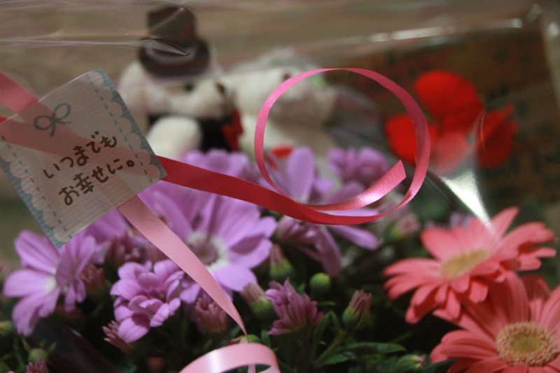 フラワーんだふぉ～☆