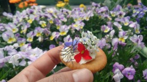 10578706_803629113048490_936387851_n