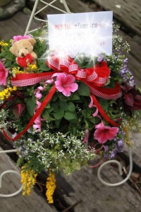 10899727_801604209917647_1791471542_n