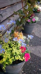 11065096_805600376184697_3552202809702956348_n