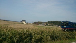 11084506_795513383860063_1257622562_n