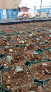 11091323_791317917612943_390131554_n