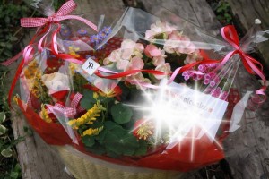 11094048_801604183250983_148436550_n