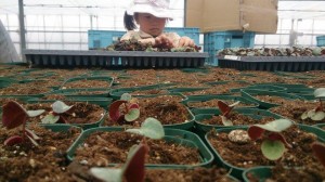 11096761_791317987612936_1999471617_n