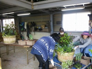 11118472_802905943131439_327333421851418969_n