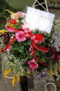 11125301_801604246584310_1993652434_n