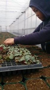 11128722_791317897612945_206297973_n