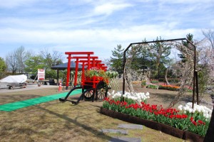 11129913_868445353194941_8605132821276693087_o