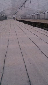 11139463_793710954040306_1756846247_n