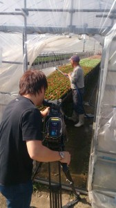 11146179_806181132793288_7271849712615161949_n