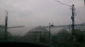 11148890_800143653397036_497858690_n