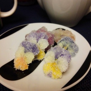 11149036_565648373538232_2017253478_n