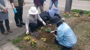 11149150_800143670063701_1140981286_n