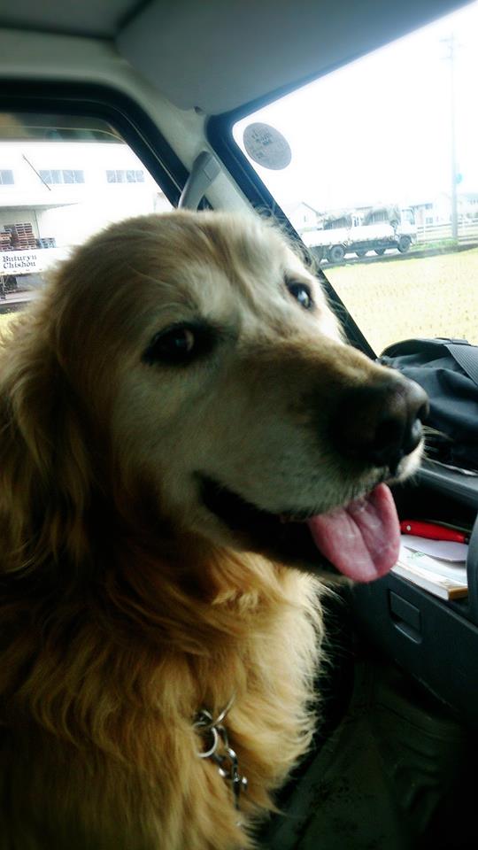 久しぶりのアッシュ特集☆