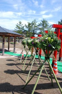 11168087_868445423194934_3385724668415696401_n