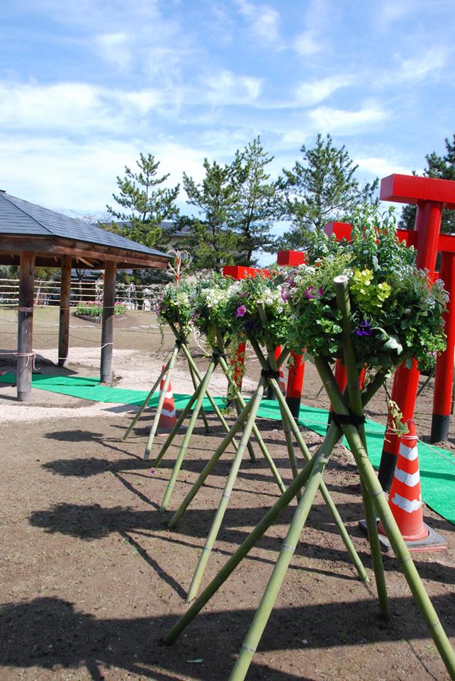 となみチューリップフェア開幕！！