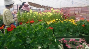 11180004_803629109715157_284732526_n