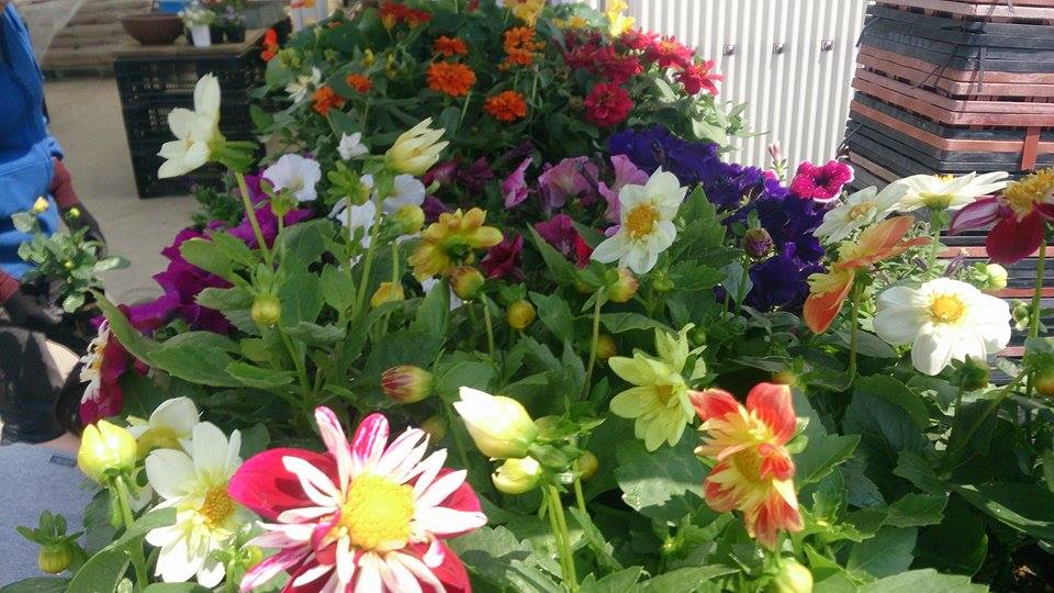 今年度初ＪＯＹ☆ガーデニング隊