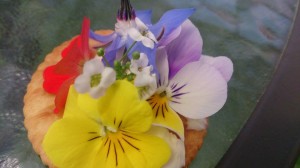 11180268_803629126381822_868517994_n