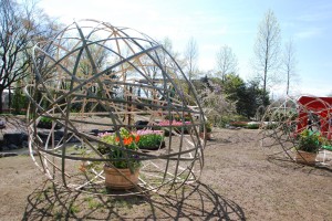 11182680_868445483194928_8453406754069005565_o