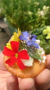 11186311_803629119715156_1631765506_n